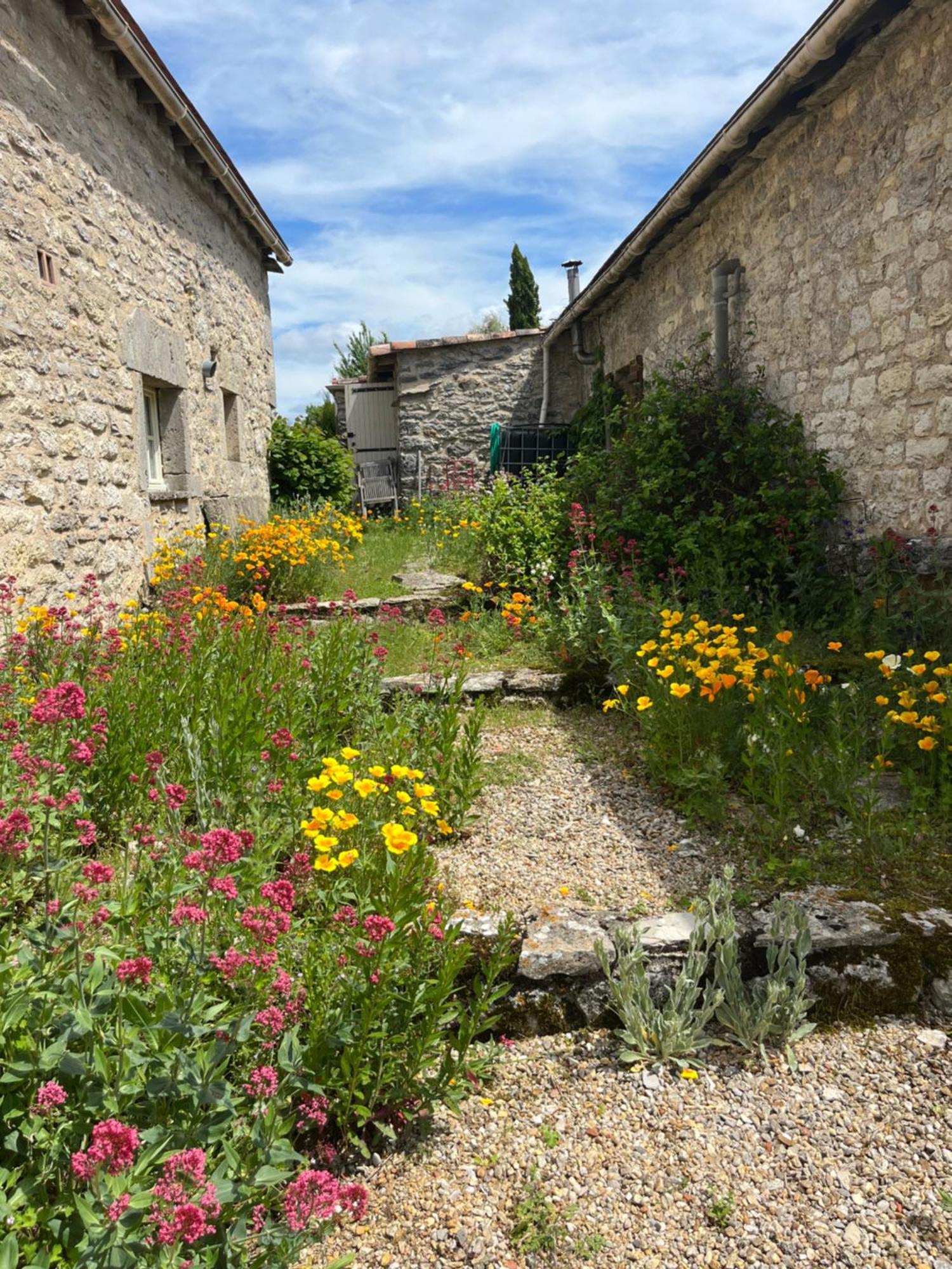 Les Gites Perard Caylus Exterior photo